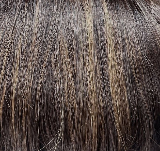 Newport I Belle Tress - Triple Chocolate Rooted image