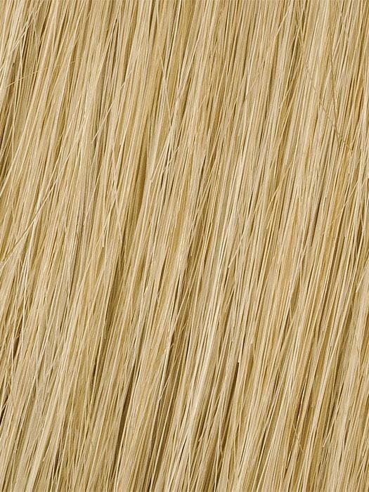 18" Human Hair Highlight Extension (1 Piece) | Hairdo - R14/88H image